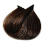 5.3 Castaniu auriu deschis